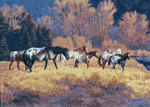 Painted Horses Resting